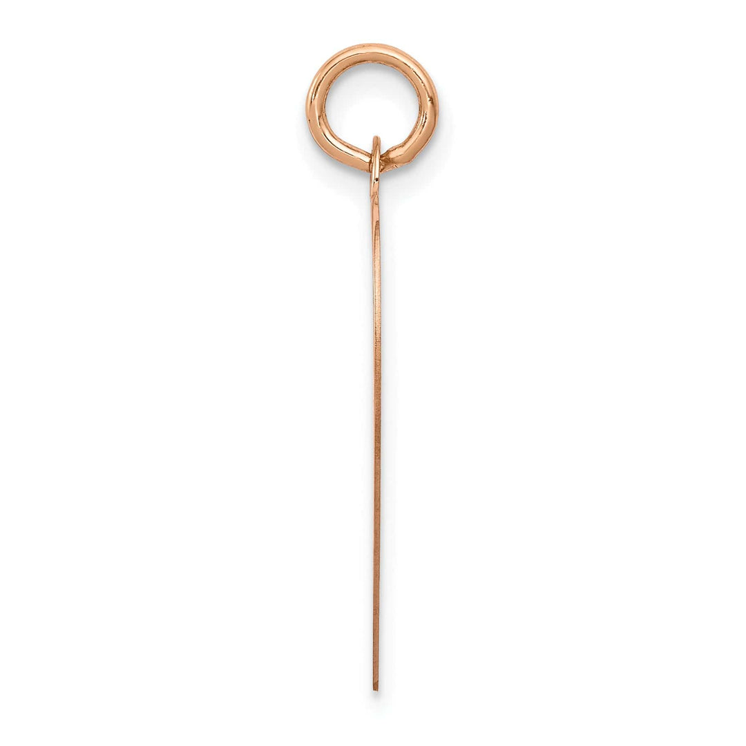 Lovely Rita's Charms & Pendants 14K Rose Gold Polished Heart Shaped Disc Design Pendant