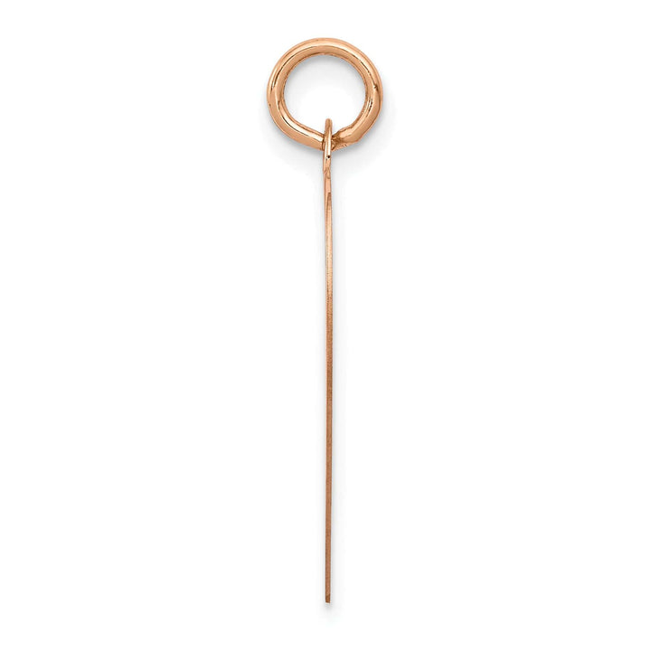 Lovely Rita's Charms & Pendants 14K Rose Gold Polished Heart Shaped Disc Design Pendant