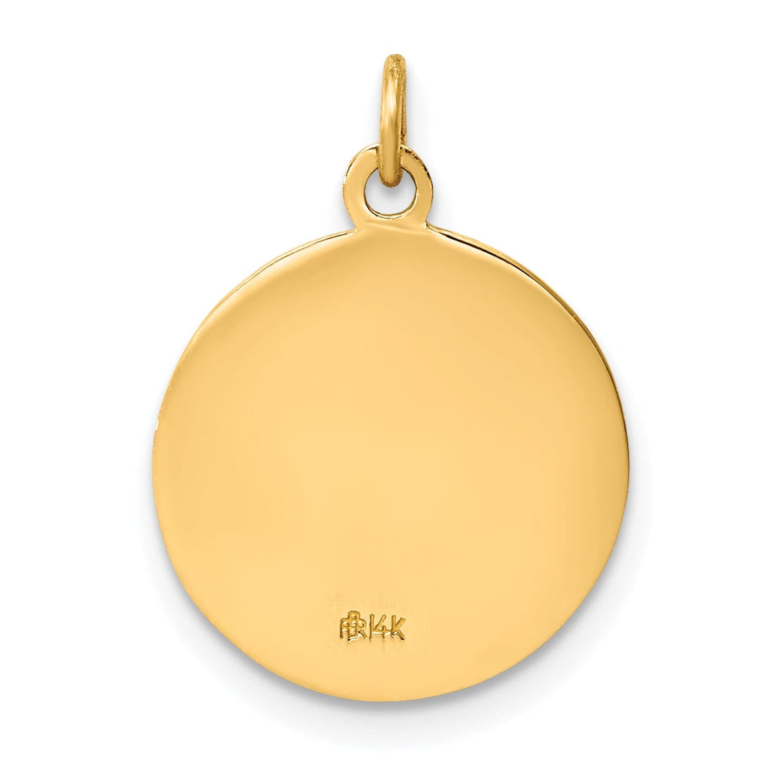 14k Yellow Gold St.Francis of Assisi Medal Pendant