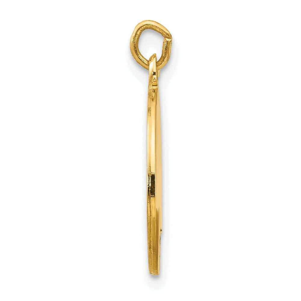 14k Yellow Gold Saint Luke Medal Pendant