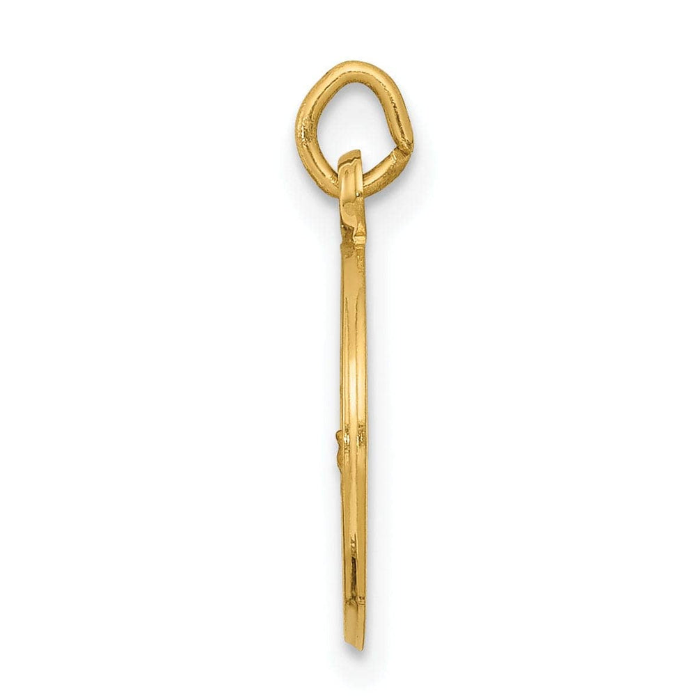 14k Yellow Gold Our Lady of Lourdes Medal