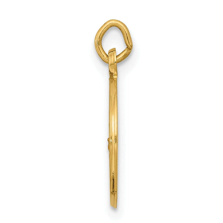 14k Yellow Gold Our Lady of Lourdes Medal