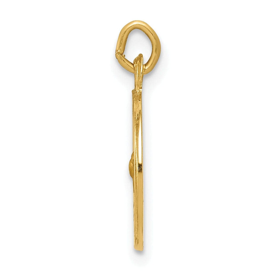 Lovely Rita's Pendants & Charms 14k Yellow Gold Holy Spirit Medal Pendant