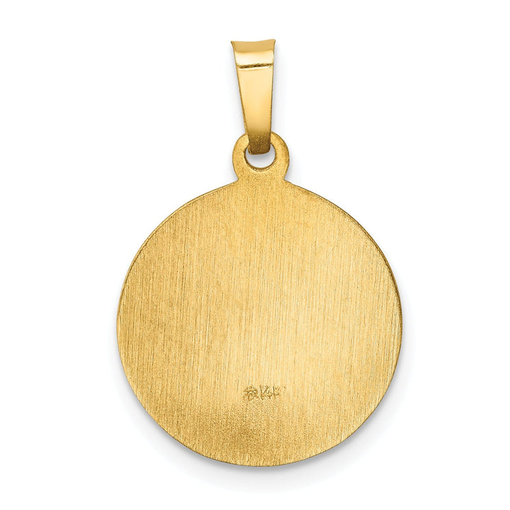 Lovely Rita's Pendants & Charms 14k Yellow Gold Sacred Heart of Mary Medal