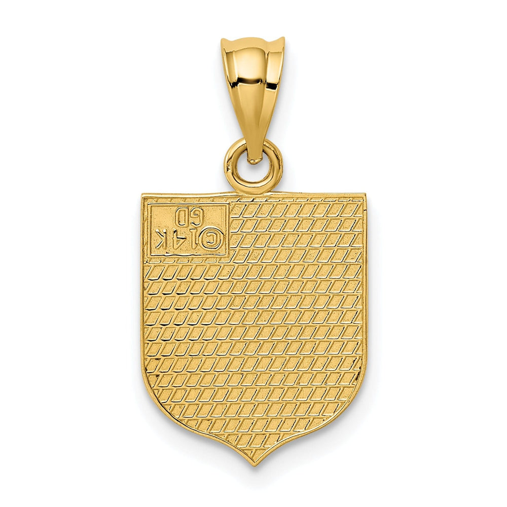 Lovely Rita's Pendants & Charms 14k Yellow Gold Textured Polished Red, White, & Blue Enamel Finish U.S.A Flag Charm Pendant