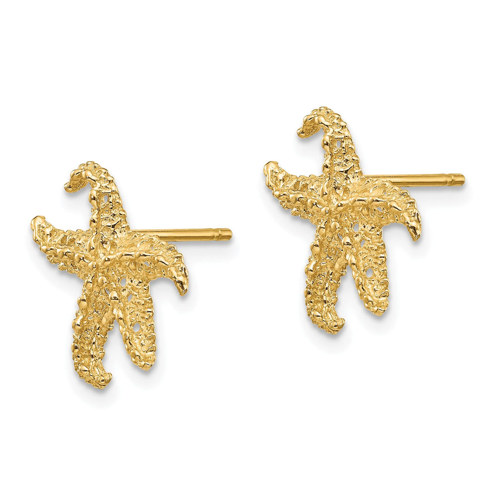 10k Yellow Gold Textured Starfish Post Earrings, 14mm