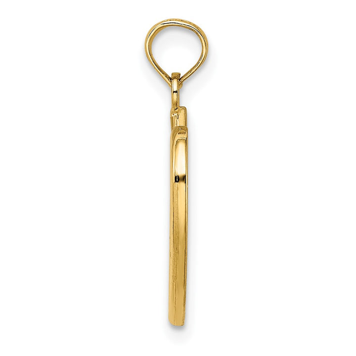Lovely Rita's Pendants & Charms 10K Yellow Gold Solid Polished Medium Celtic Knot Heart Charm