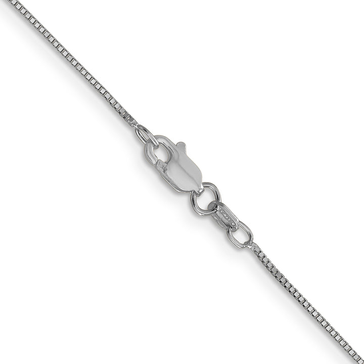 10K White Gold .7mm Box with Lobster Clasp Chain