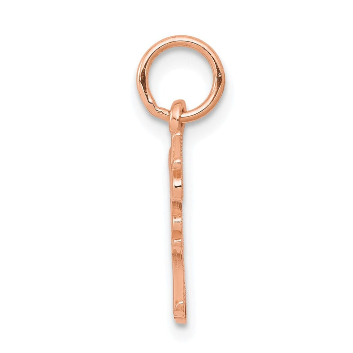 10K Rose Gold Solid Polished Medium Daddys Little Girl Charm