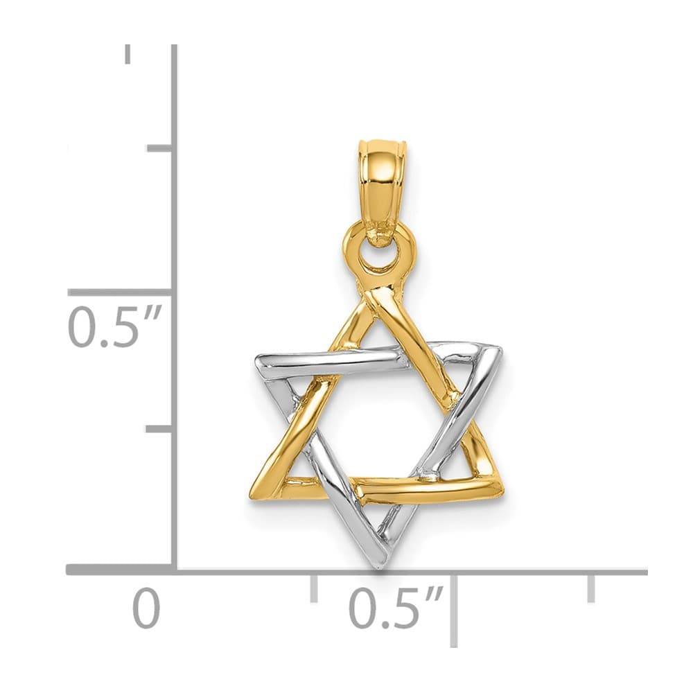 10K Two-Tone Gold 3-D Polished Star of David Pendant
