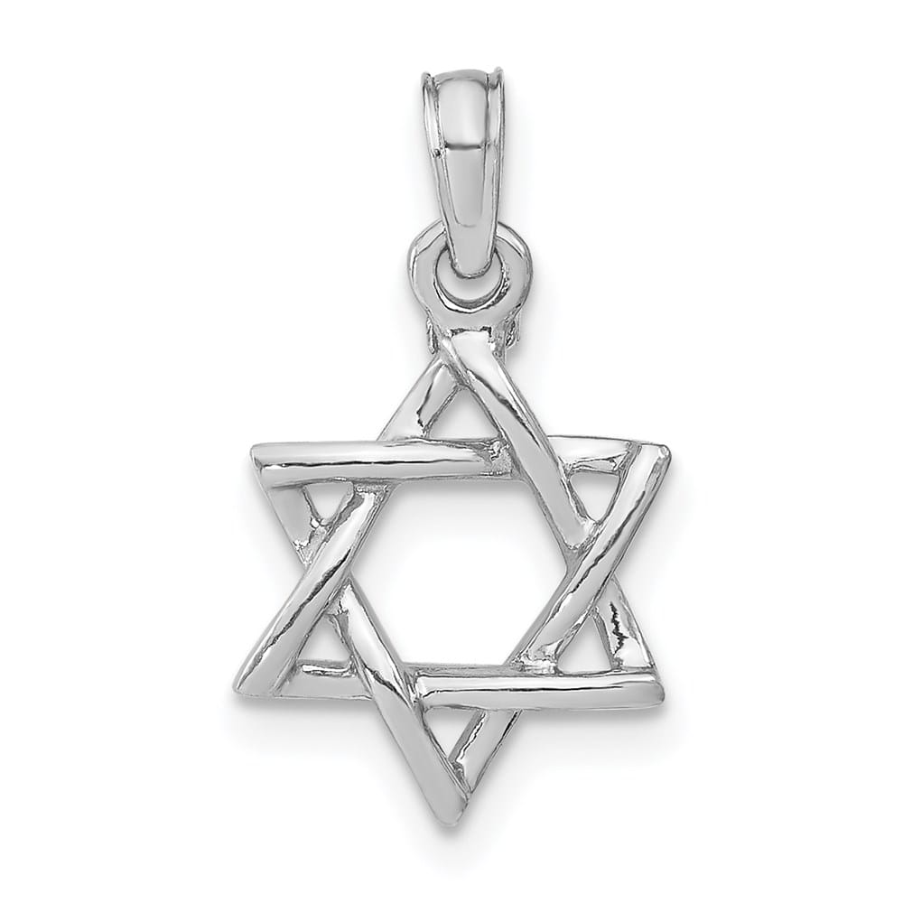 10K White Gold 3-D Polished Star of David Charm
