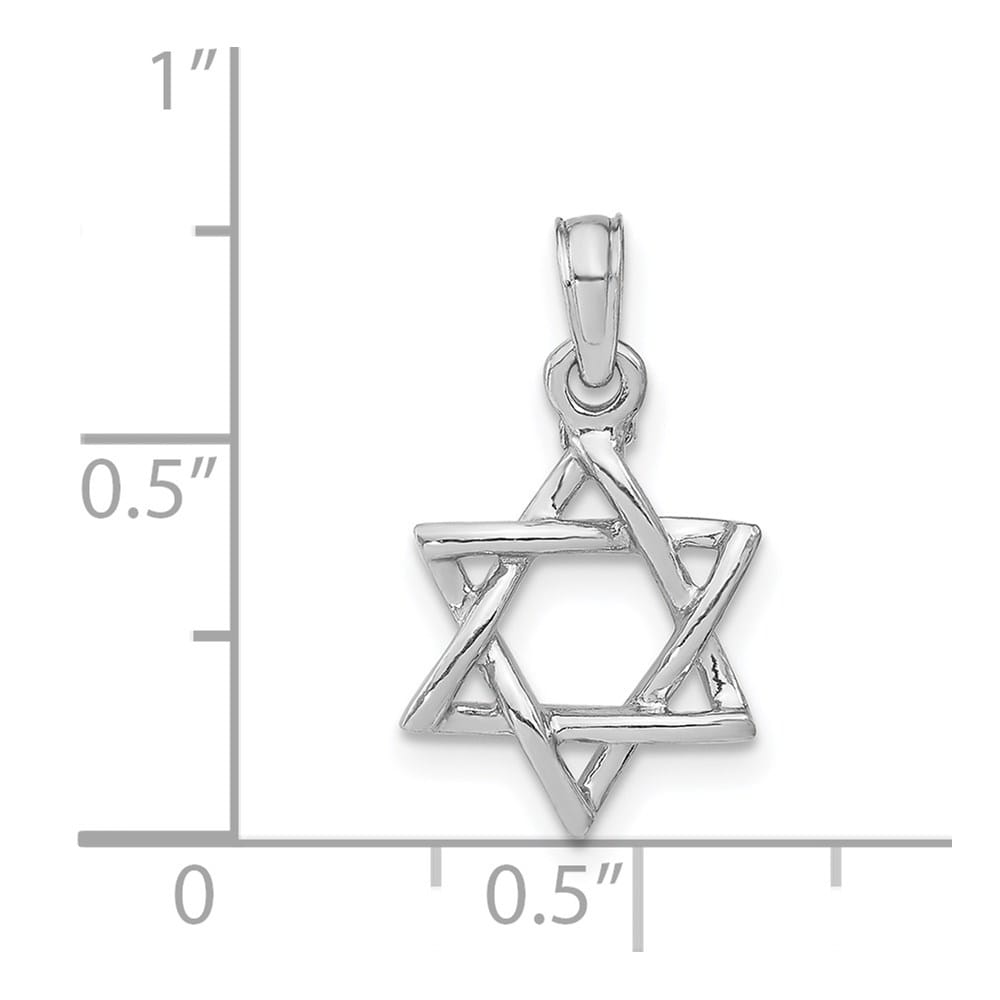 10K White Gold 3-D Polished Star of David Charm