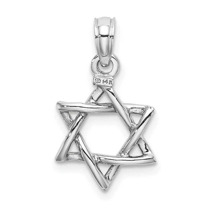 10K White Gold 3-D Polished Star of David Charm
