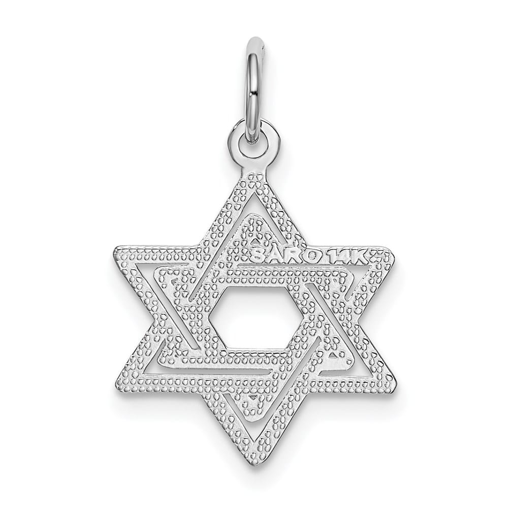10K White Gold Jewish Star of David Charm