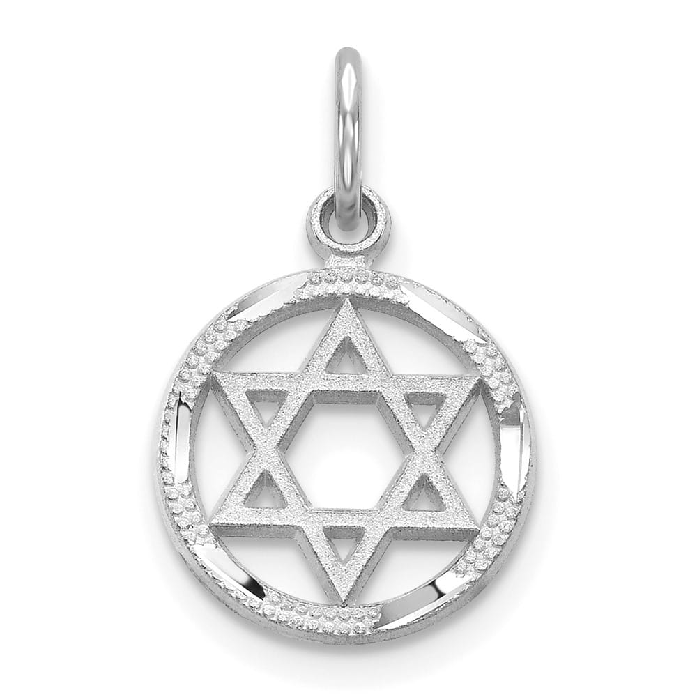 10K White Gold Star of David in Circle Charm