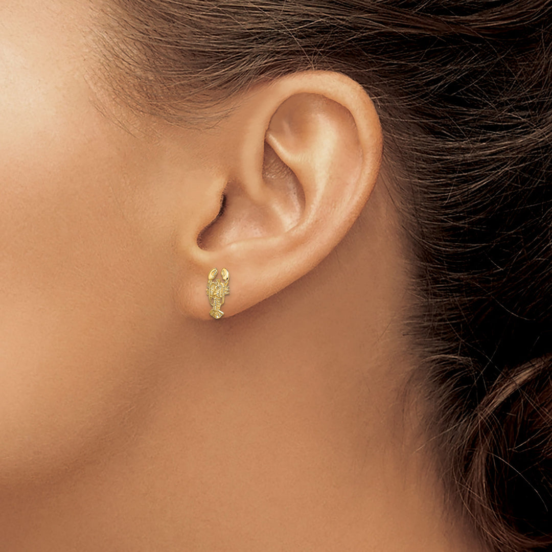 10k Yellow Gold 2-D Lobster Post Earrings