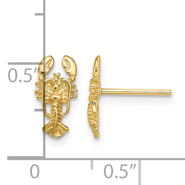 10k Yellow Gold 2-D Lobster Post Earrings
