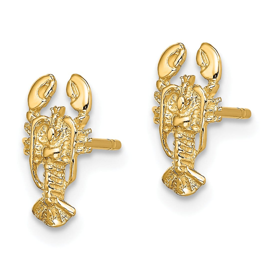 10k Yellow Gold 2-D Lobster Post Earrings