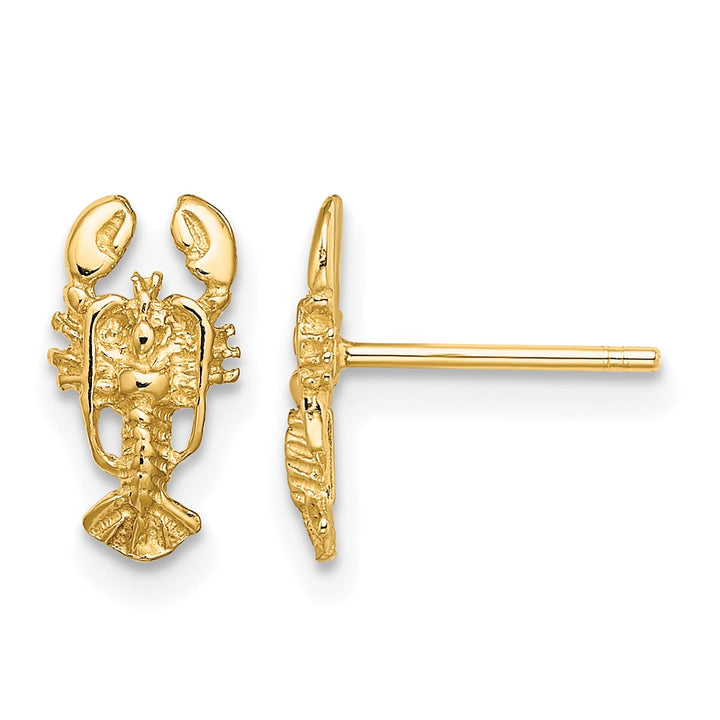 10k Yellow Gold 2-D Lobster Post Earrings