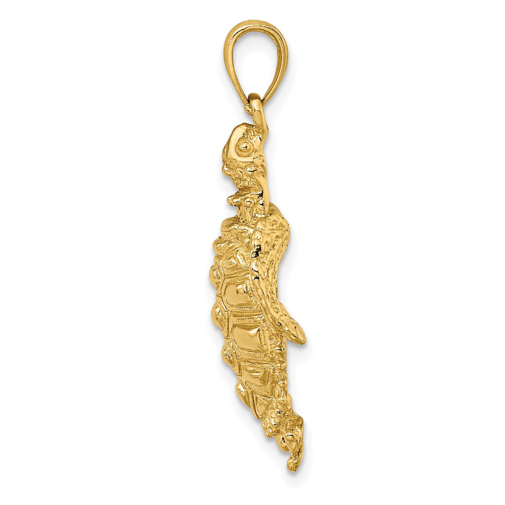 10K Yellow Gold 2-D Sea Turtle with Spiny Shell Charm, Large