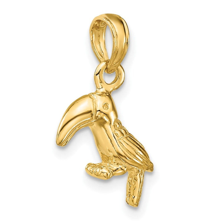 10K Yellow Gold 3-D Textured and Polished Medium Toucan Bird Charm