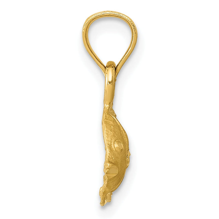 10K Yellow Gold Angel Fish Pendant