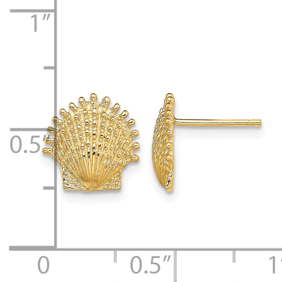 10k Yellow Gold Beaded Scallop Shell Post Earrings