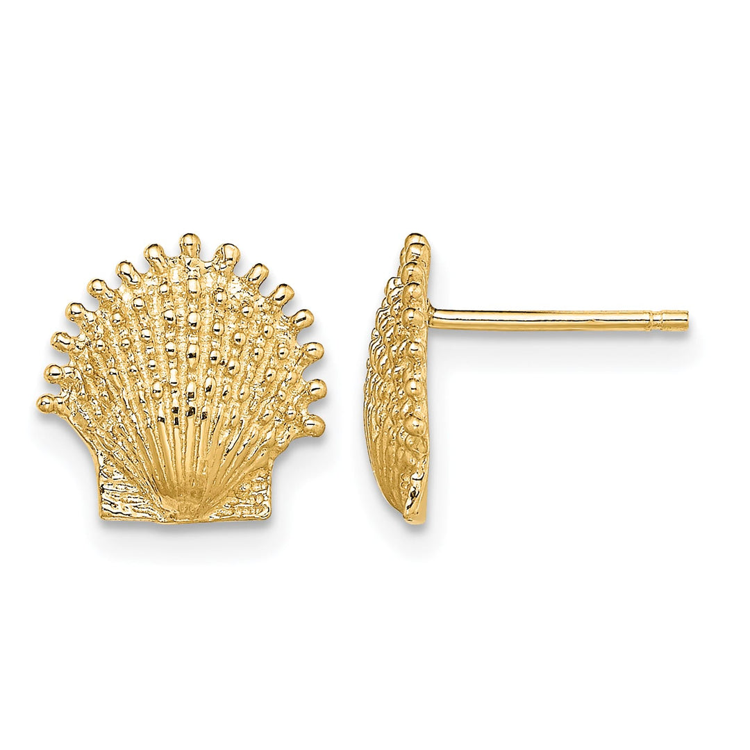 10k Yellow Gold Beaded Scallop Shell Post Earrings
