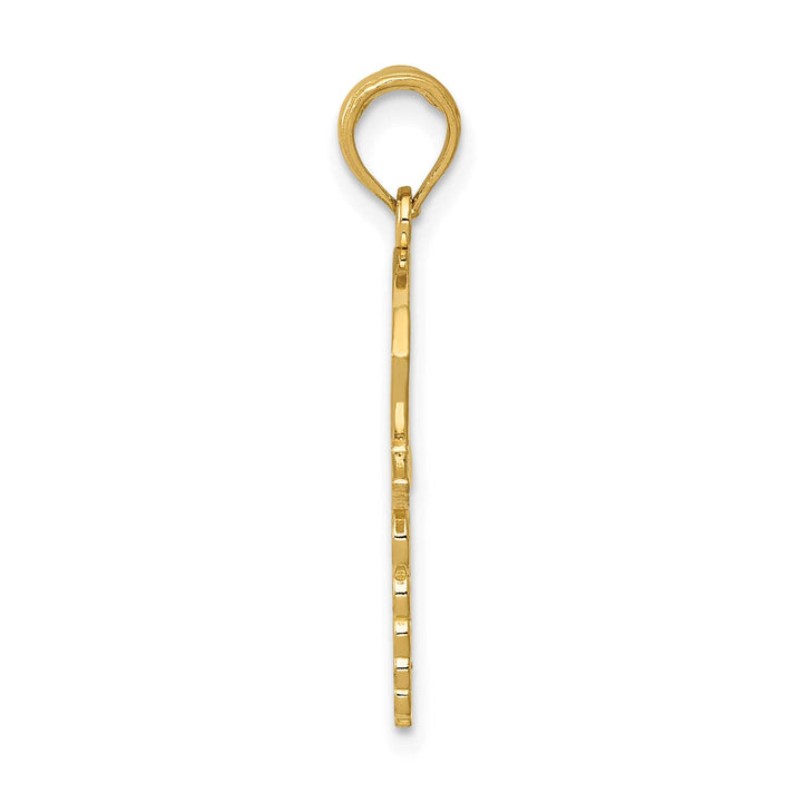 10K Yellow Gold Caduceus with Nurses Cap Pendant