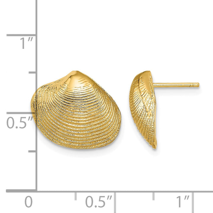 10k Yellow Gold Clam Shell Post Earrings, 12.98mm