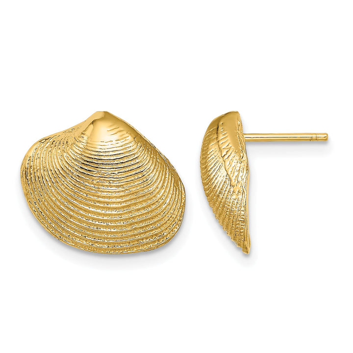 10k Yellow Gold Clam Shell Post Earrings, 12.98mm