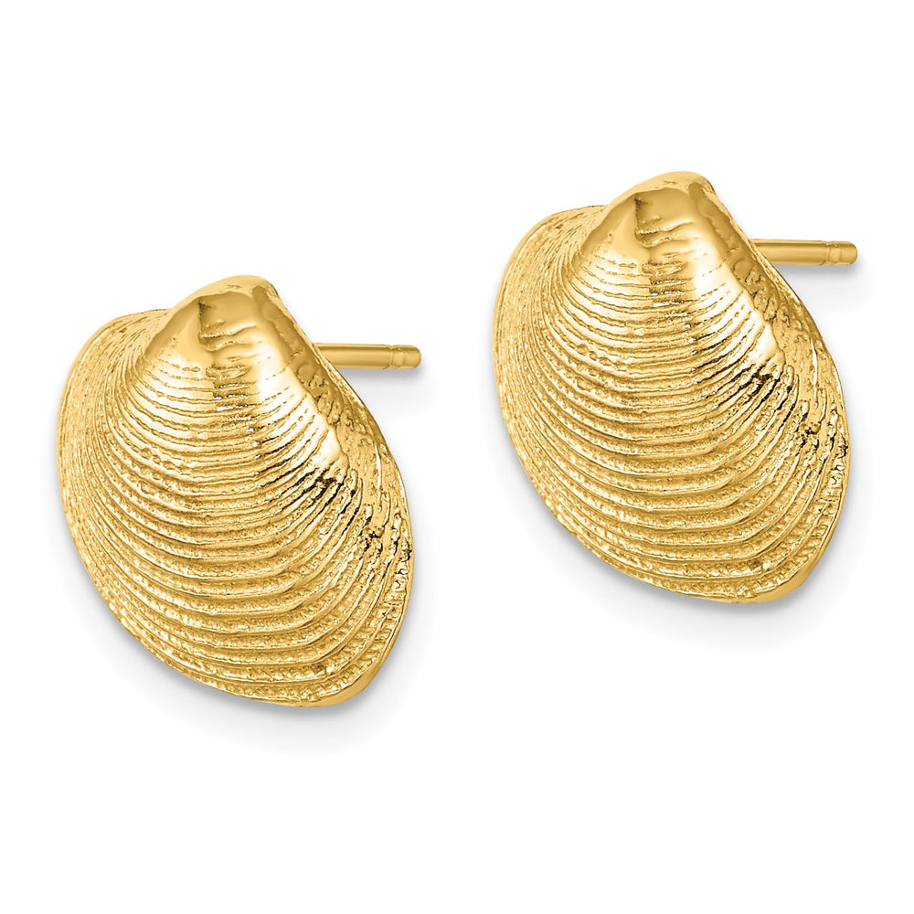 10k Yellow Gold Clam Shell Post Earrings, 12.98mm