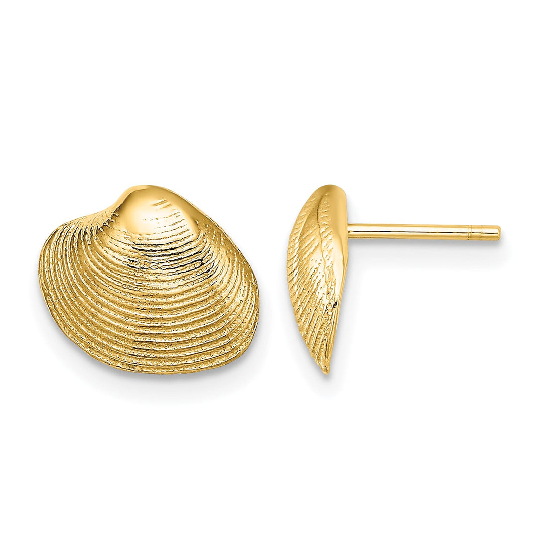 10k Yellow Gold Clam Shell Post Earrings, 9.11mm