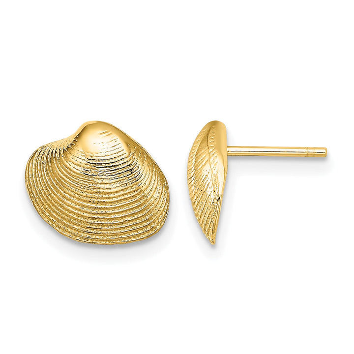 10k Yellow Gold Clam Shell Post Earrings, 9.11mm