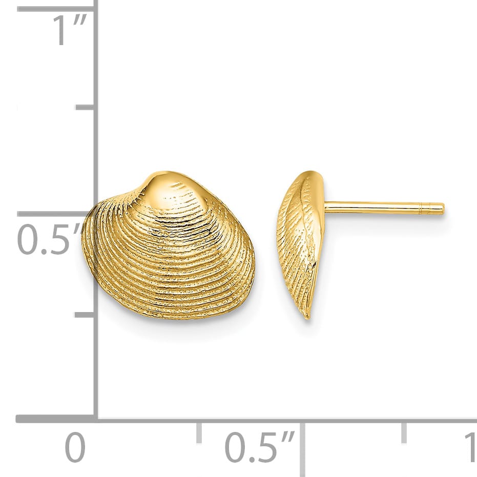 10k Yellow Gold Clam Shell Post Earrings, 9.11mm