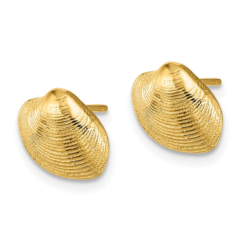 10k Yellow Gold Clam Shell Post Earrings, 9.11mm