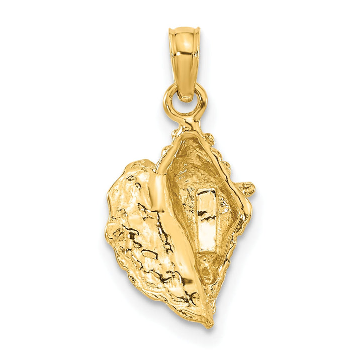 10K Yellow Gold Conch Shell Pendant, 24x11mm