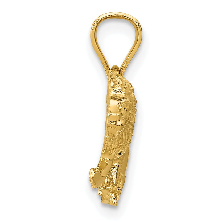 10K Yellow Gold D.C. Lion Pendant