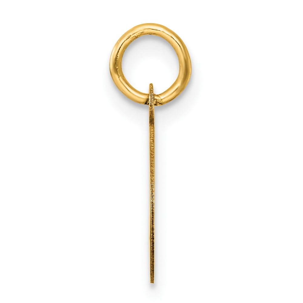10K Yellow Gold Extra Large Oval Class of 2026 Charm