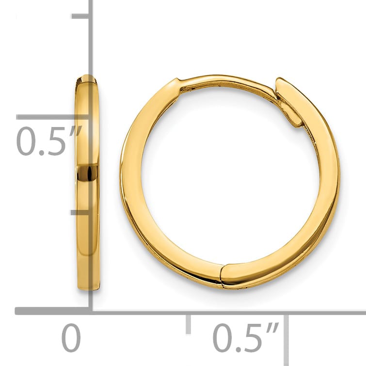 10k Yellow Gold Hinged Hoop Earrings, 11mm