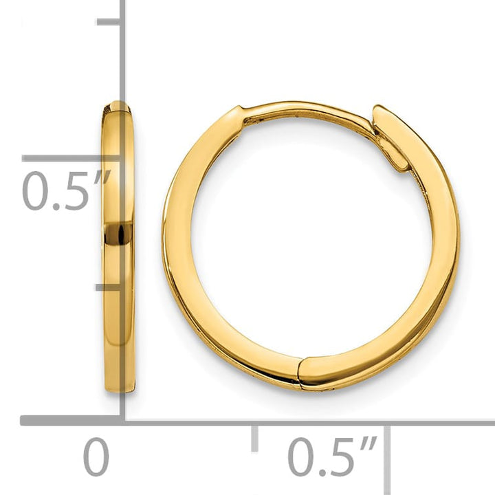 10k Yellow Gold Hinged Hoop Earrings, 11mm