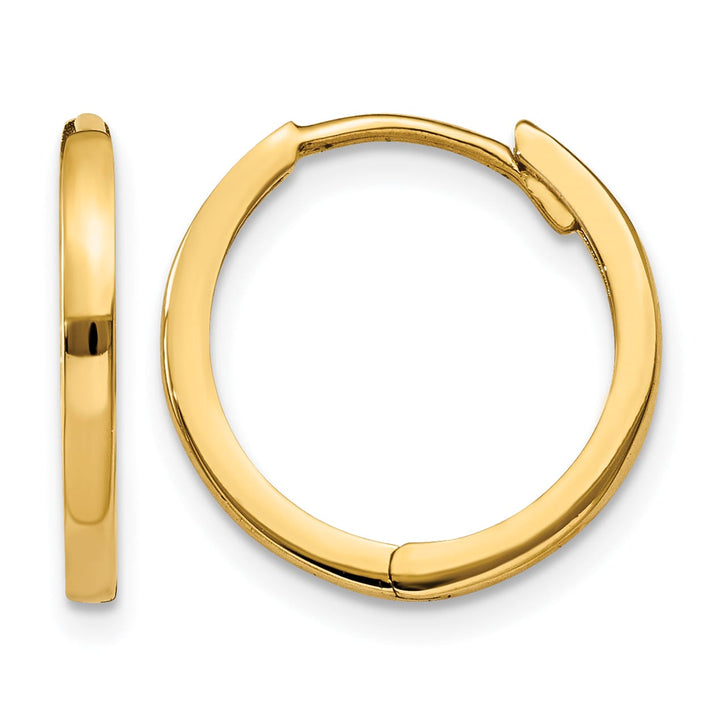 10k Yellow Gold Hinged Hoop Earrings, 11mm
