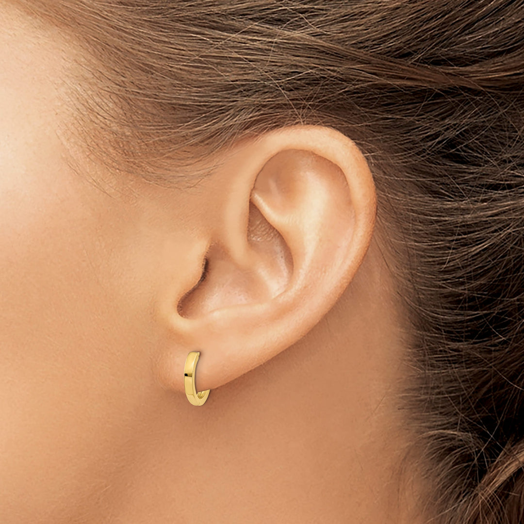 10k Yellow Gold Hinged Hoop Earrings, 8mm
