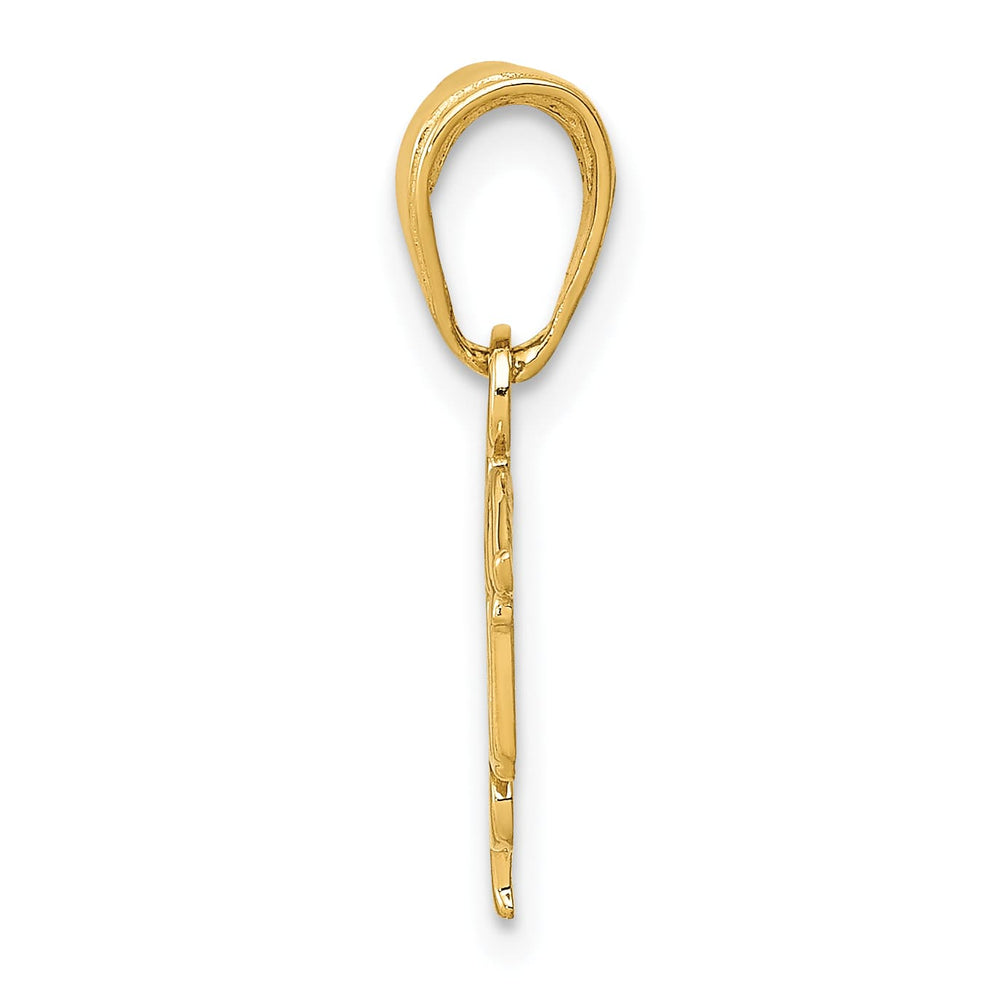 10K Yellow Gold LPN Symbol Pendant