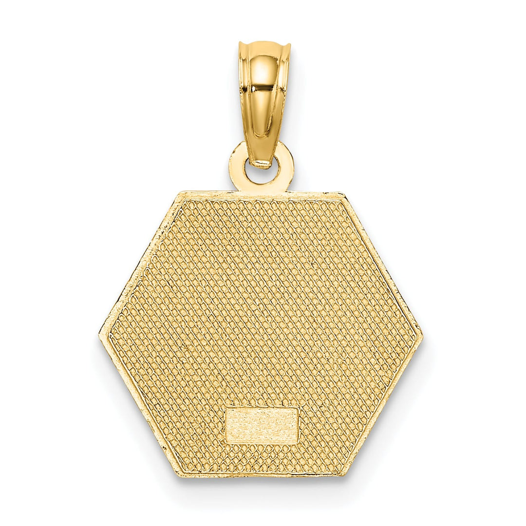 10K Yellow Gold Medical Symbol 16x18mm Hexagon Disc Pendant