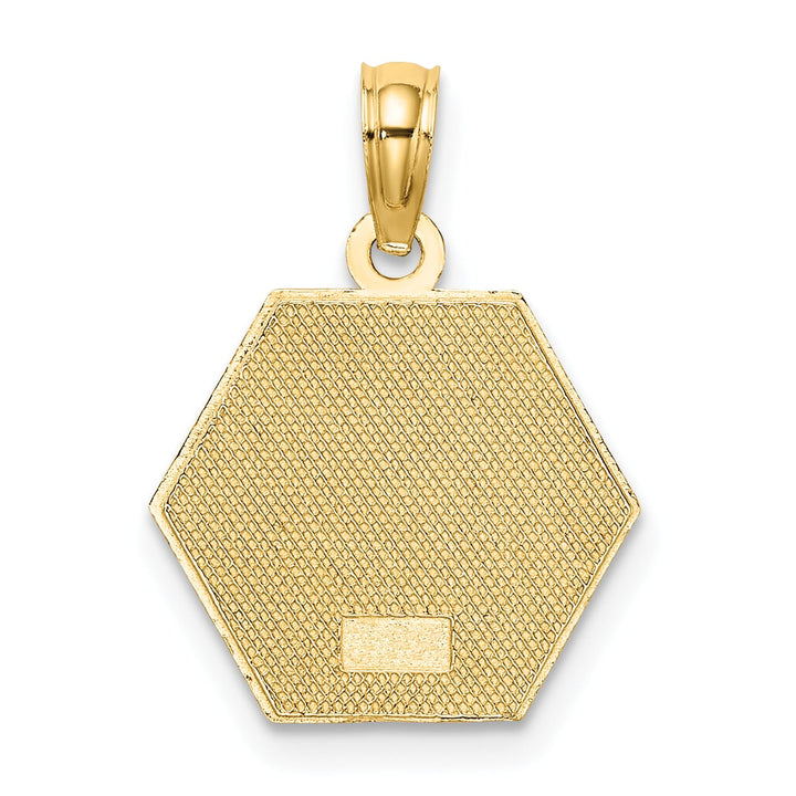 10K Yellow Gold Medical Symbol 16x18mm Hexagon Disc Pendant