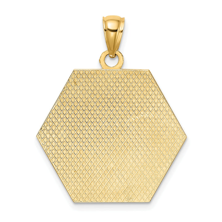 10K Yellow Gold Medical Symbol 22x24mm Hexagon Disc Pendant