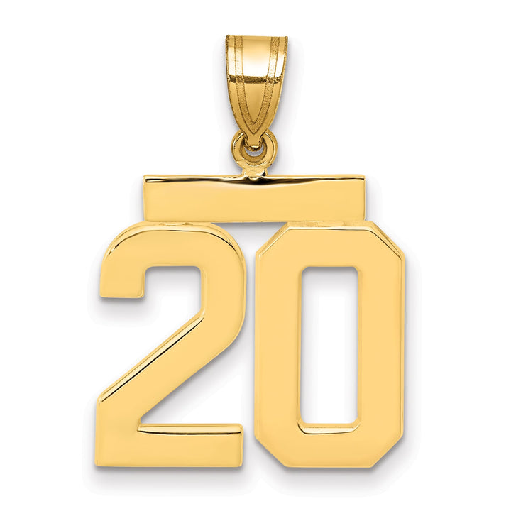 10K Yellow Gold Medium Polished Number 20 Charm