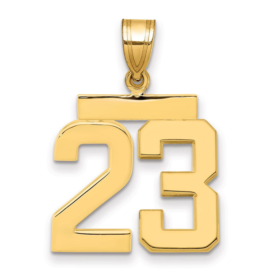 10K Yellow Gold Medium Polished Number 23 Charm