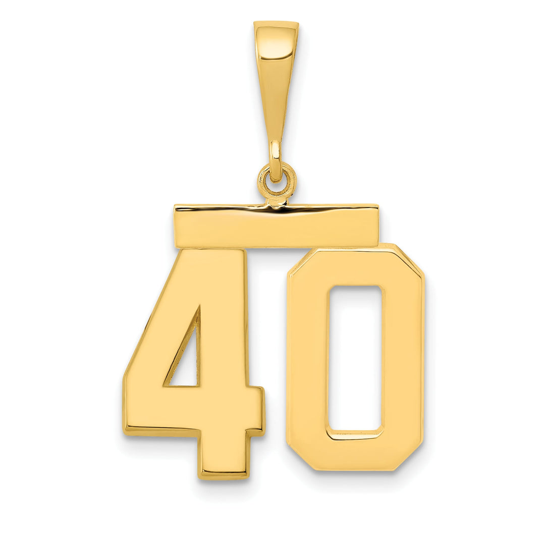 10K Yellow Gold Medium Polished Number 40 Charm